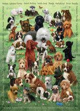 Load image into Gallery viewer, Puppy Love (Family) 350pc puzzle