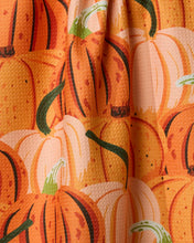 Load image into Gallery viewer, Rows of Gourds