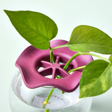 Load image into Gallery viewer, Botanical Keepers: Set of 2