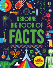 Load image into Gallery viewer, Big Book Of Facts: Usborne