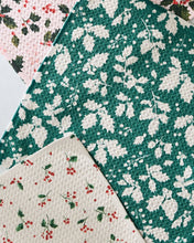 Load image into Gallery viewer, Hollyday Dishcloth Set