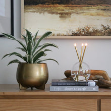 Load image into Gallery viewer, :: BEST SELLER :: Everlasting Candles