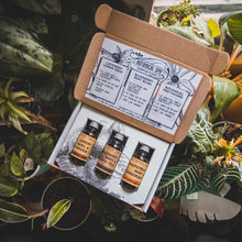 Load image into Gallery viewer, Sweethaven Tonics Sampler Flights