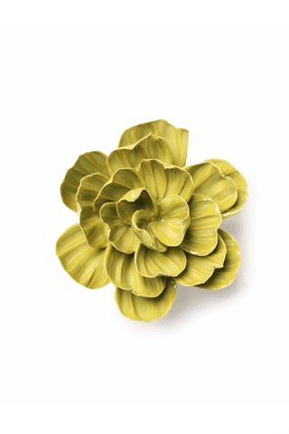 Ceramic Primrose - Olita Gifts & Goods