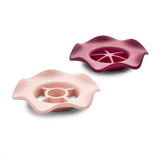 Load image into Gallery viewer, Botanical Keepers: Set of 2
