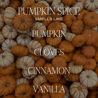 Pumpkin Spice Reed Diffuser - Olita Gifts & Goods