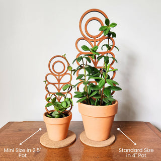 Wood Indoor Plant Trellis - Olita Gifts & Goods