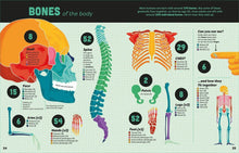 Load image into Gallery viewer, Big Book Of Facts: Usborne
