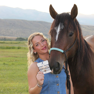 "Gallop" Horse & Bit Equestrian Accents in Rich Brown & Blue Hair Tie Bracelets: Small - Olita Gifts & Goods