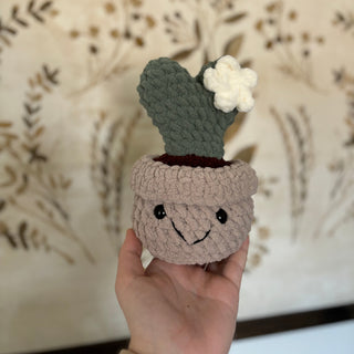 Crocheted Plants - Olita Gifts & Goods