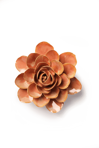 Ceramic Peach Pink Begonia - Olita Gifts & Goods