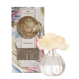 Waterplants Flower Diffuser 4 Pack - Olita Gifts & Goods