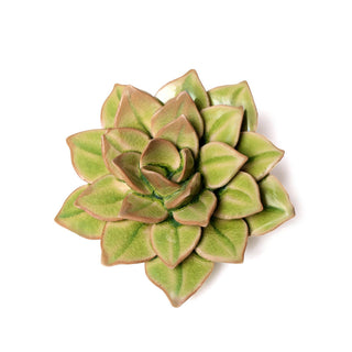 Ceramic Green Fairy Echeveria - Olita Gifts & Goods