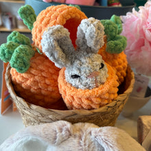Load image into Gallery viewer, Bunnies in Carrorts
