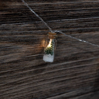 Evergreen Glass Bottle Lights - Olita Gifts & Goods