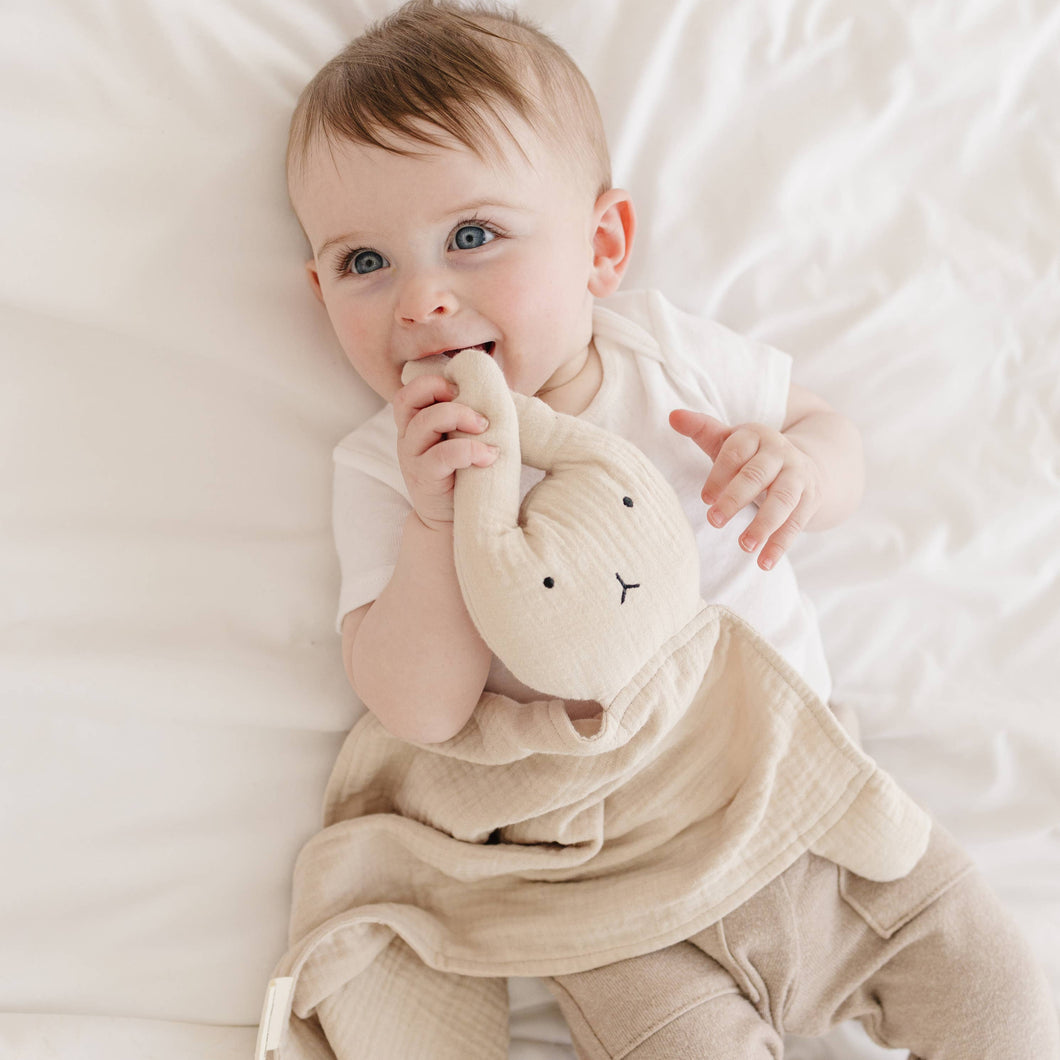 Organic Cotton Lovey Blanket