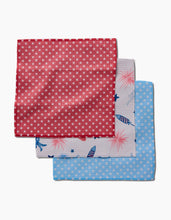 Load image into Gallery viewer, Freedom Dishcloth Set
