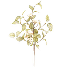 Load image into Gallery viewer, Snowberry Floral Pick
