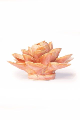 Ceramic Peach Pink Begonia - Olita Gifts & Goods