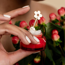 Load image into Gallery viewer, Lip Care Trio
