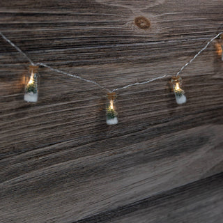 Evergreen Glass Bottle Lights - Olita Gifts & Goods
