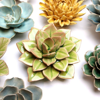 Ceramic Green Fairy Echeveria - Olita Gifts & Goods