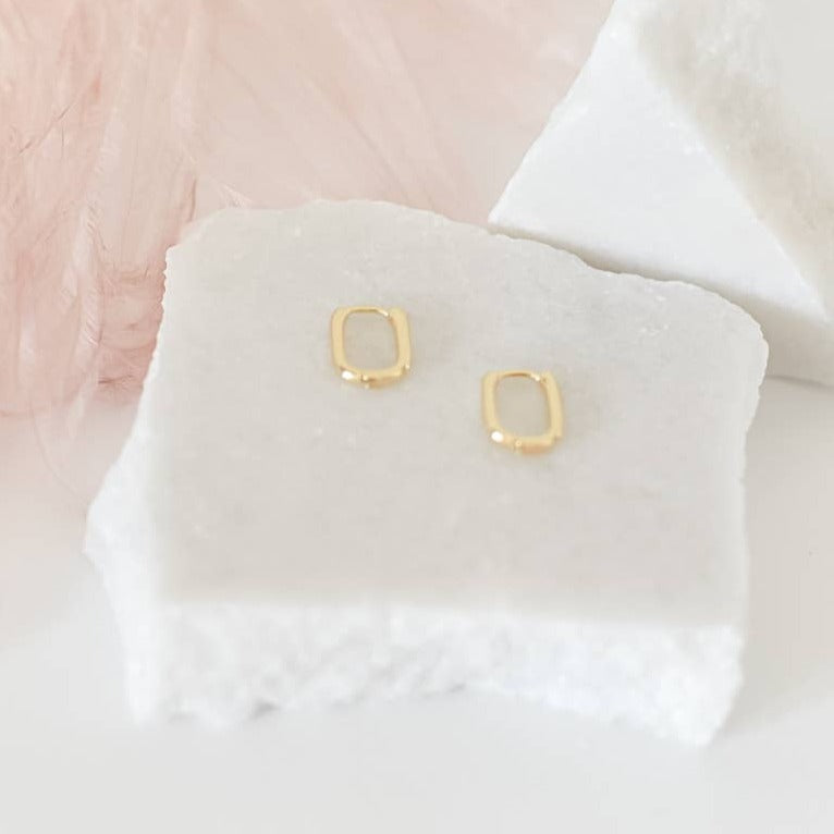 Brileigh Hoops