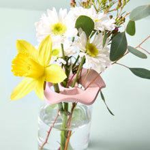 Load image into Gallery viewer, Botanical Keepers: Set of 2
