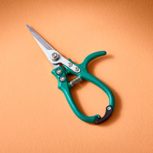Load image into Gallery viewer, Garden Shears
