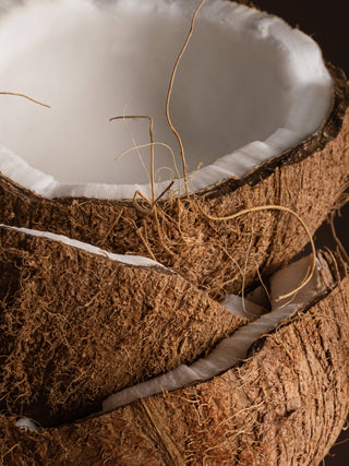 Coconut Milk Mango - Pura Home Diffuser Scent Refill