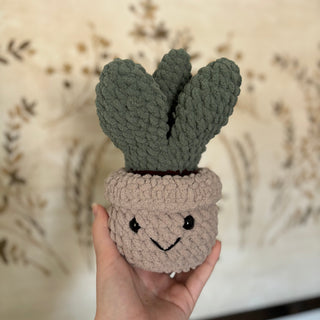 Crocheted Plants - Olita Gifts & Goods