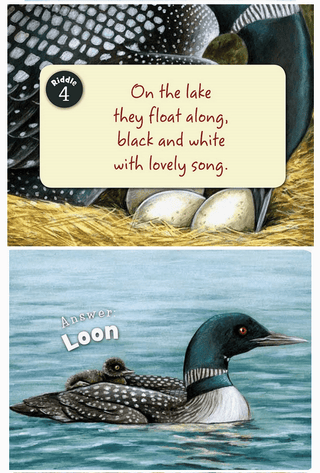 Little Minnesota Board Book - Olita Gifts & Goods