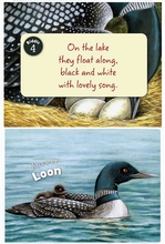 Load image into Gallery viewer, Little Minnesota Board Book
