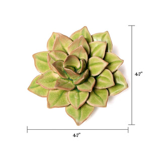Ceramic Green Fairy Echeveria - Olita Gifts & Goods