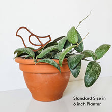 Load image into Gallery viewer, Retro Bird Plant Stake
