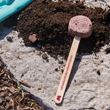 Load image into Gallery viewer, Pollinator Seed Pops
