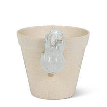 Load image into Gallery viewer, Climbing Bunny Pot Hanger
