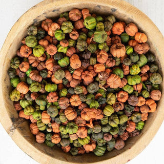 Orange + Green Putka Pods in Bag - Olita Gifts & Goods