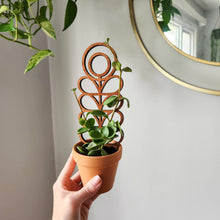 Load image into Gallery viewer, Wood Indoor Plant Trellis
