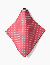 Load image into Gallery viewer, Freedom Dishcloth Set
