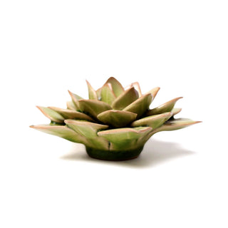 Ceramic Green Fairy Echeveria - Olita Gifts & Goods