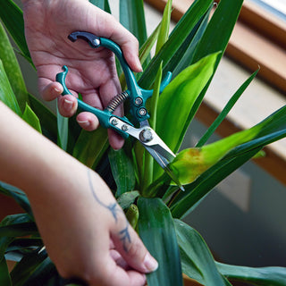 Garden Shears - Olita Gifts & Goods