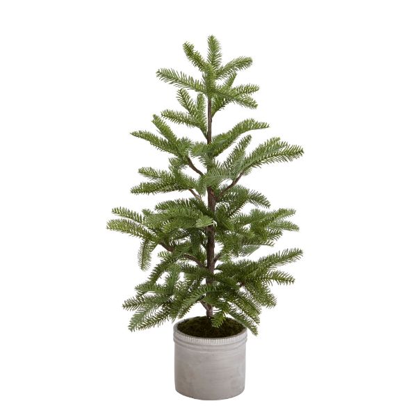 Pine Tree in Cement Pot