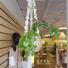 Load image into Gallery viewer, Handmade Macramé Plant Hanger
