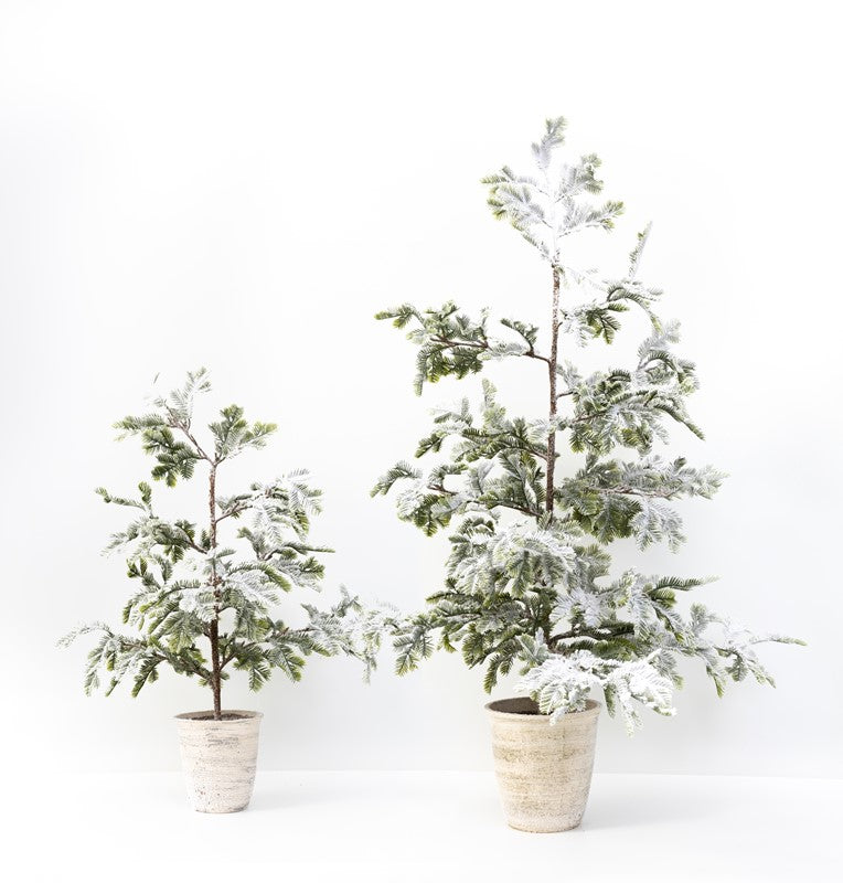 Snowy Trees in Pots: 2 Sizes